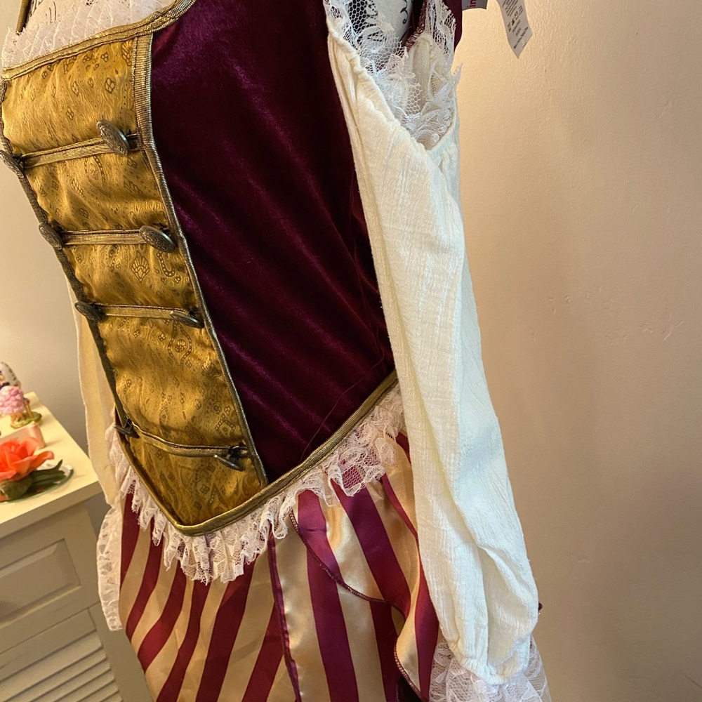 Pirate Wench Costume - M - Picture 2 of 6